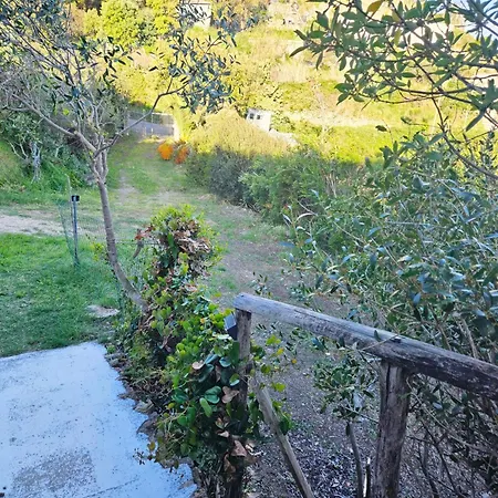 Apartment Maridea - Vairone *